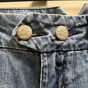 American Eagle Outfitters Blue Flare Jeans